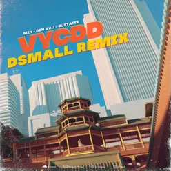 Vì Yêu Cứ Đâm Đầu (DJ DSmall Remix)
