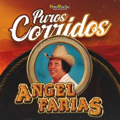 El Corrido de Picachos