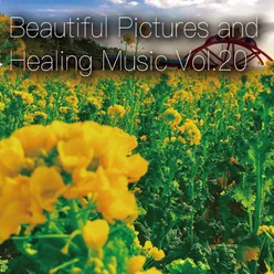 Beautiful Pictures and Healing Music Vol.20 (Women's Public Opinion Ver.)
