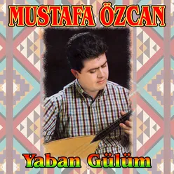 Yaban Gülüm