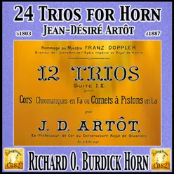 12 Trios Suite No. 1: 4. Scherzo vivace