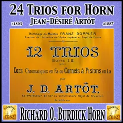 12 Trios Suite No. 1: 1. Allegro maestoso