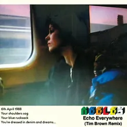 Echo Everywhere (Tim Brown Remix)