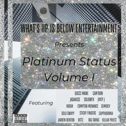 What's Up Is Below Presents: Platinum Status, Vol. 1
