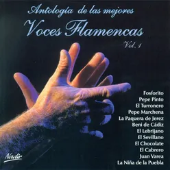 Antología de las Mejores Voces Flamencas Vol. 1 (Remasterizado)