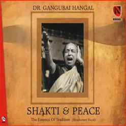 Shakti And Peace - Vol. 1 & 2