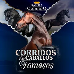 Corridos De Caballos Famosos