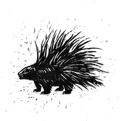 Porcupine