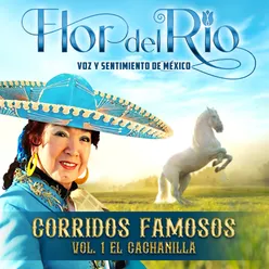 Corridos Famosos El Cachanilla, Vol. 1