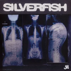 silverfish