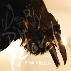 Hawk Vs. Pigeon