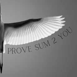 Prove Sum 2 You