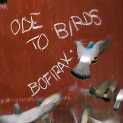 Ode To Birds