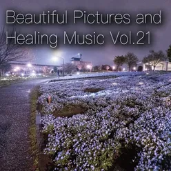 Beautiful Pictures and Healing Music Vol.21 (Women's Public Opinion ver.)