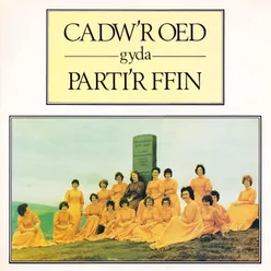 Dafydd y garreg wen