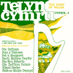 Telyn Cymru 3
