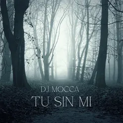 Tu Sin Mi (Remix)