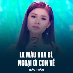 LK Màu Hoa Bí, Ngoại Ơi Con Về