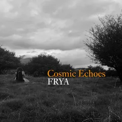 Cosmic Echoes