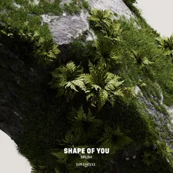 Shape of You