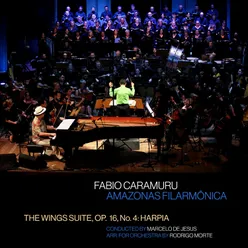 The Wings Suite, Op. 16, No. 4: Harpia (Arr. for Orchestra by Rodrigo Morte)