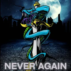 Never Again (album)