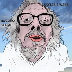 Skylab's Wake