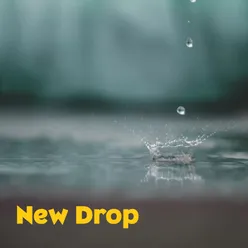 New Drop