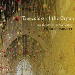 I Colori Dell'organo - Italian Rare Organ Works