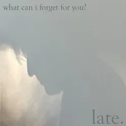 What Can I Forget For You?