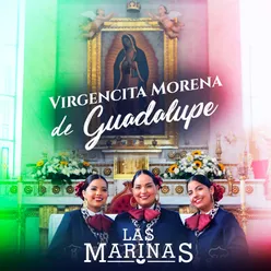 Virgencita Morena de Guadalupe