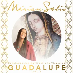 Canciones con Mariachi a La Virgen de Guadalupe Vol.2