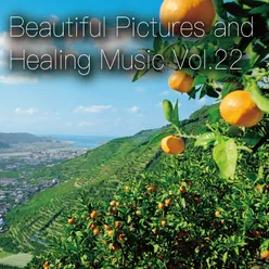 Beautiful Pictures and Healing Music Vol.22 (Women's Public Opinion ver.)