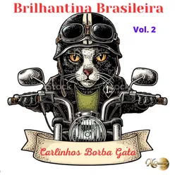 Brilhantina Brasileira Vol 02