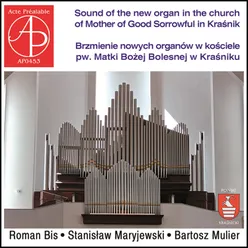 Organ Sonata No. 2, Op. 65: I. Grave
