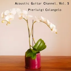 Acoustic Guitar Channel, Vol. 5