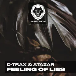 Feeling of Lies (Radio Mix)