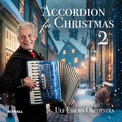 Accordion for Christmas 2