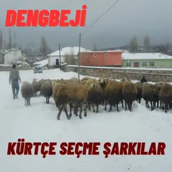 Dengbeji Kürtçe Seçme Şarkılar