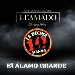 El Álamo Grande (Live)