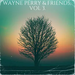 Wayne Perry & Friends, Vol. 3