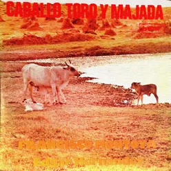 Caballo Toro Y Majada