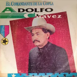 El Gavilan Presidente