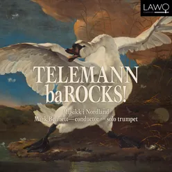 Concerto for Viola d'amore, Oboe d'amore and Flute, TWV 53:E1 (arr. for viola d'amore, oboe d'amore and flute by Mark Bennett): III. Siciliana