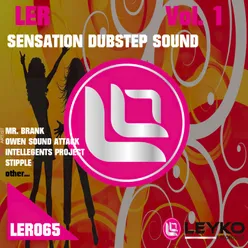 Ler Sensation Dubstep Sound Vol. 1