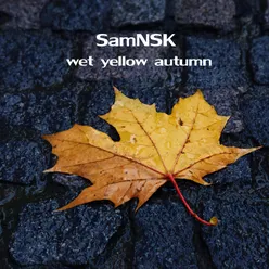 Wet Yellow Autumn