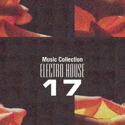 Music Collection. Electro House 17