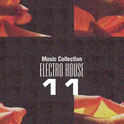 Music Collection. Electro House 11