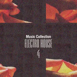 Music Collection. Electro House, Vol. 4