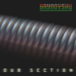 Dub Section